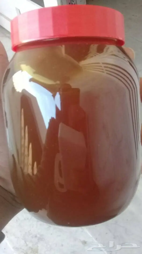 عسل سدر و سمر اصلي من وادي جردان باليمن  (image 4)