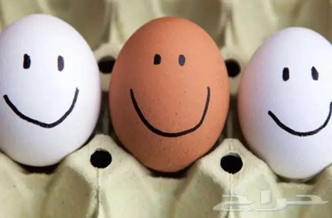 بيض ماىدة بلدي 