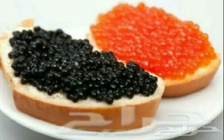 الكافيار الروسي الشهير بسعر خيالي 