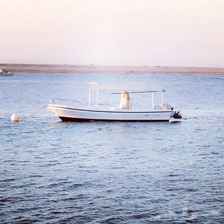 رحلات صيد  (image 2)