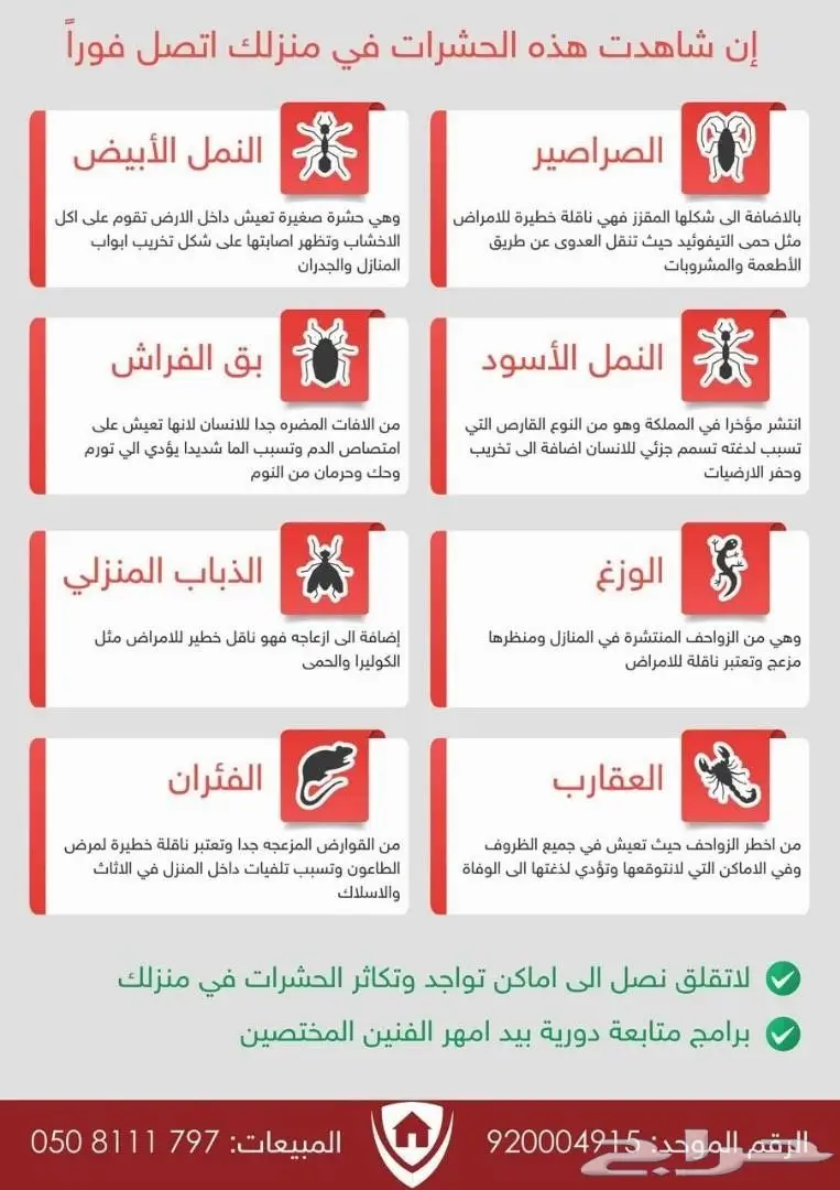 مكافحة حشرات رش مبيدات صراصير نمل برص فئران (image 14)