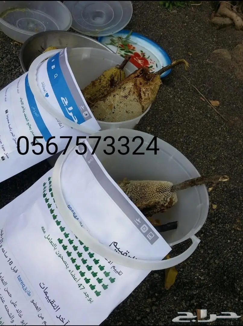 عسل حر جبلي جنوة جديدة اراء العملاء إيجابية  (image 1)