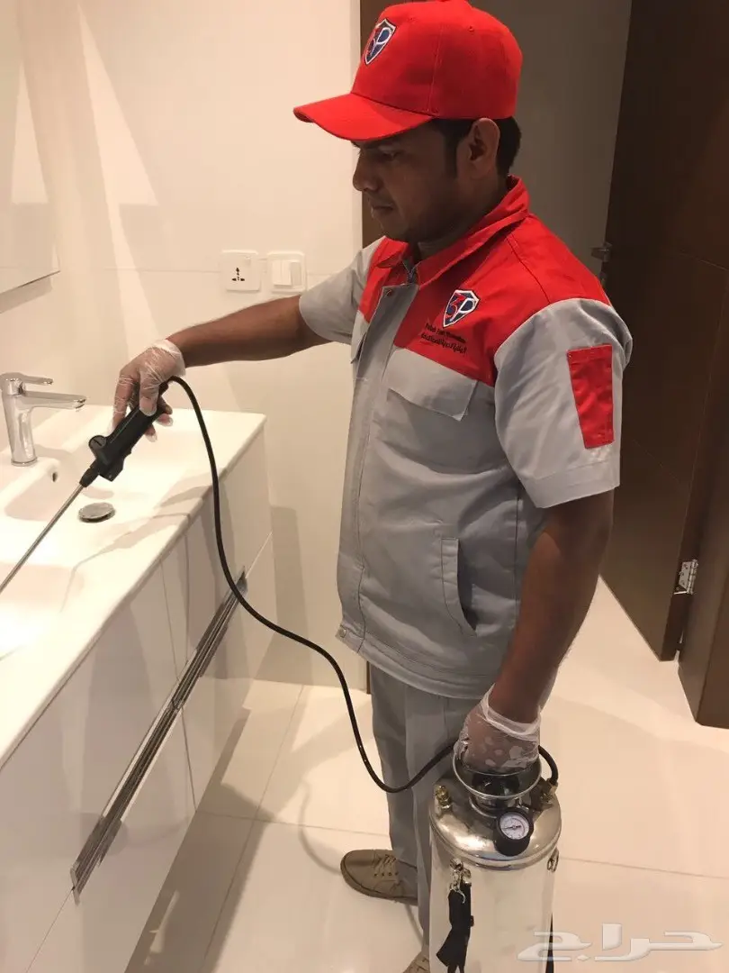 رش مبيدات بدون رائحه عماله فلبينيه (image 3)