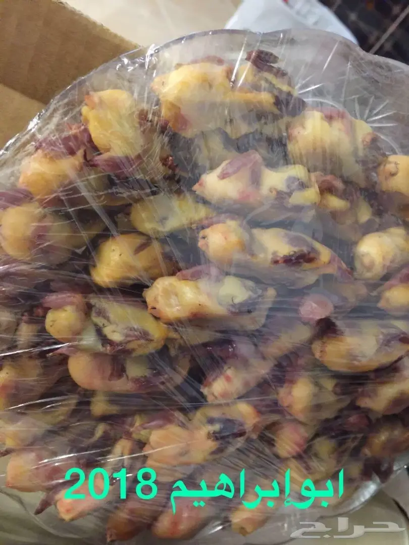 صيد دخل على الشرط (image 2)