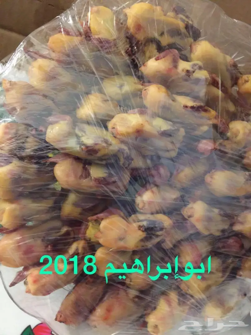 صيد دخل على الشرط (image 3)
