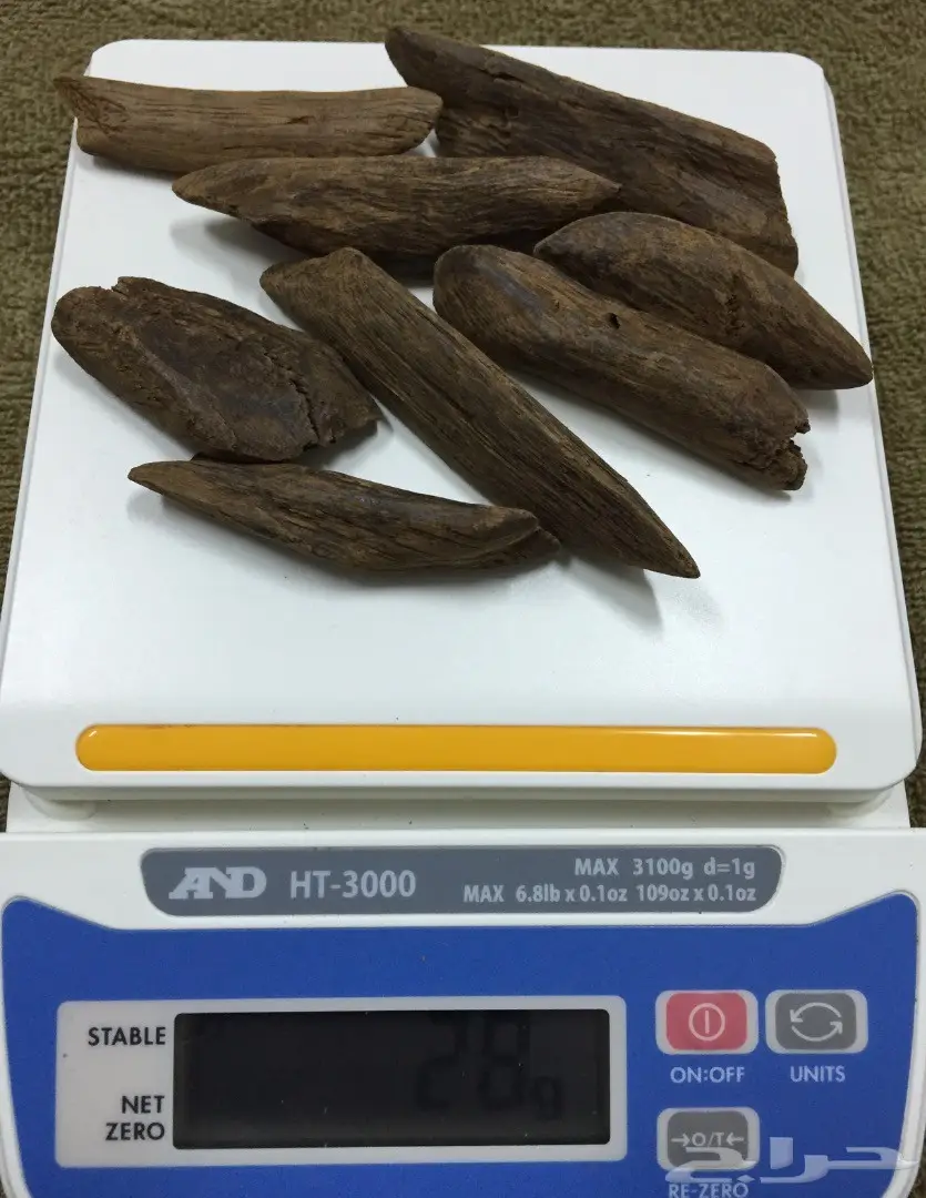 مزاد على اوقيتين عود( ماروكي وكلمنتان محسن )