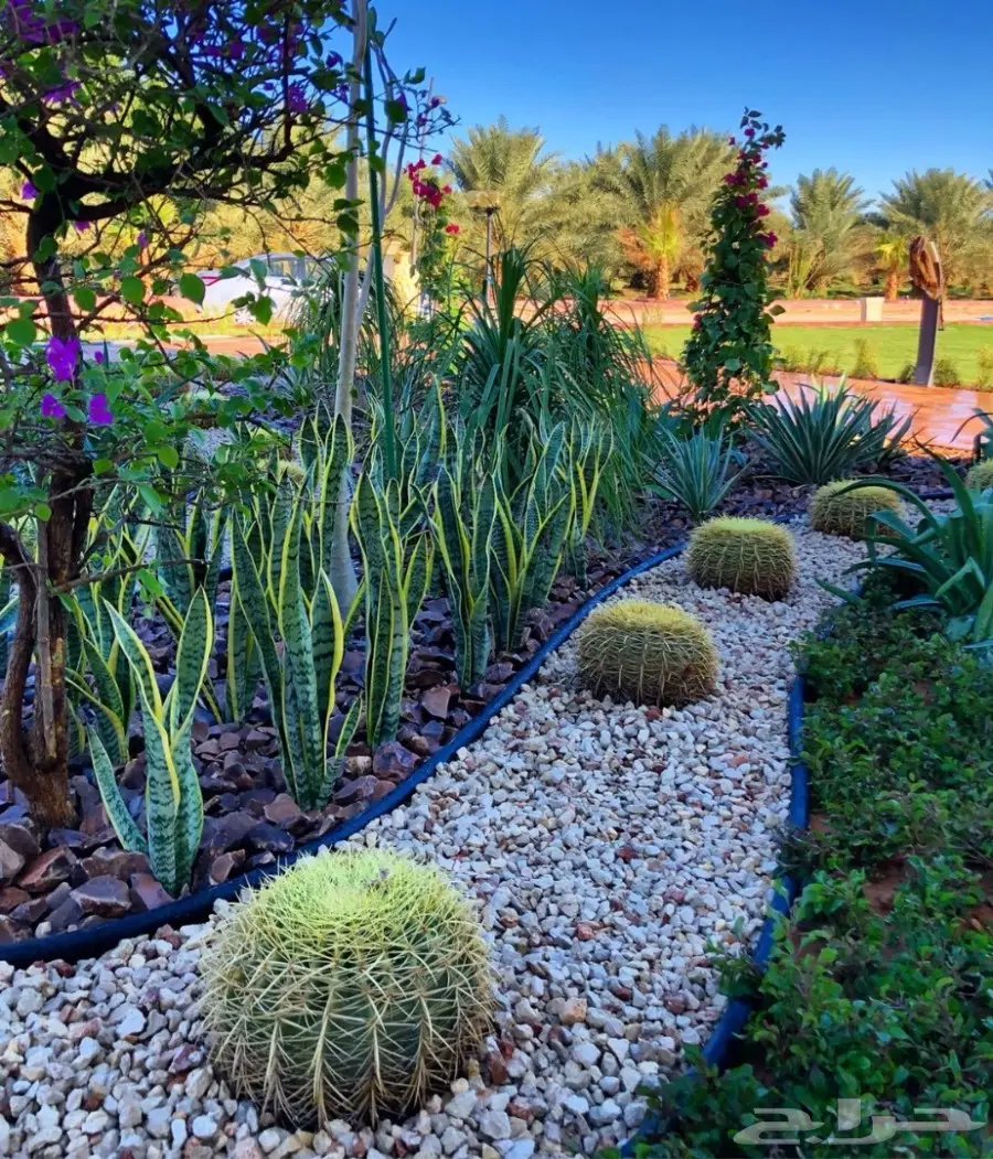 عشب صناعي أفضل الأسعار (image 6)