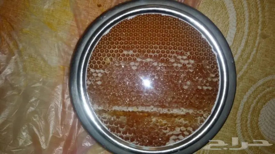 عسل سدر و سمر اصلي من وادي جردان باليمن 