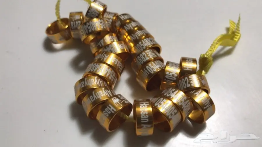 حجول طيور فاخر - لكل الأجناس! (image 1)