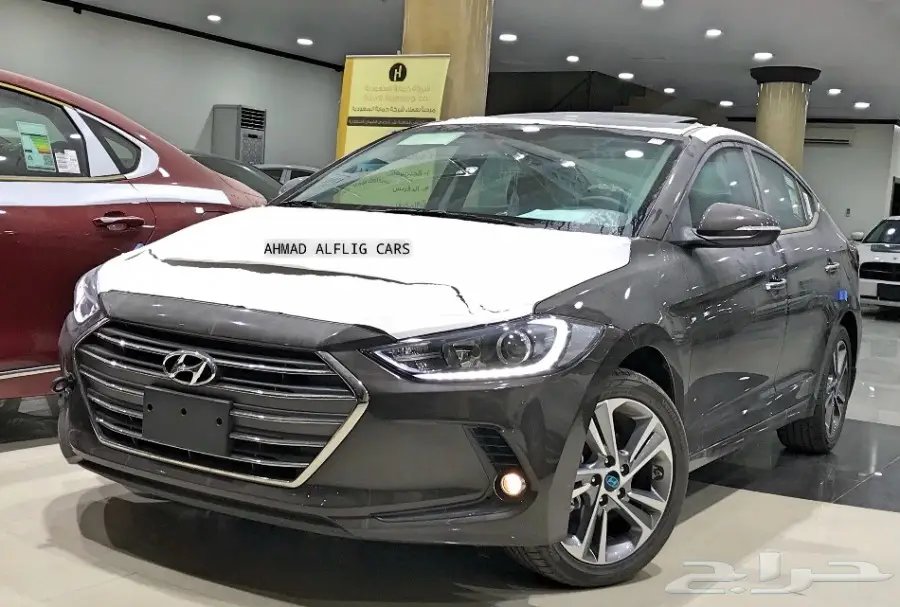 هونداي النترا 2018 بصمه جلد جملي (سعودي) ... (image 1)