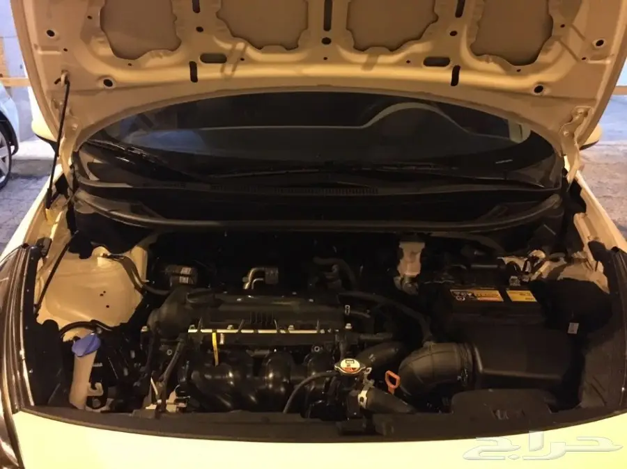 ريو 2016 (image 8)