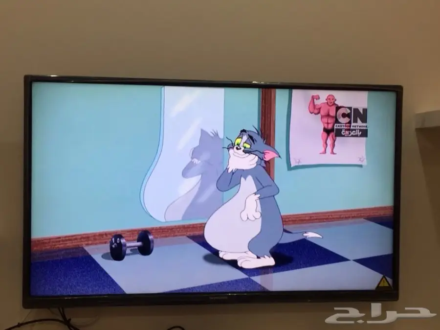 شاشة skyworth خمسين بوصة LED  (image 1)