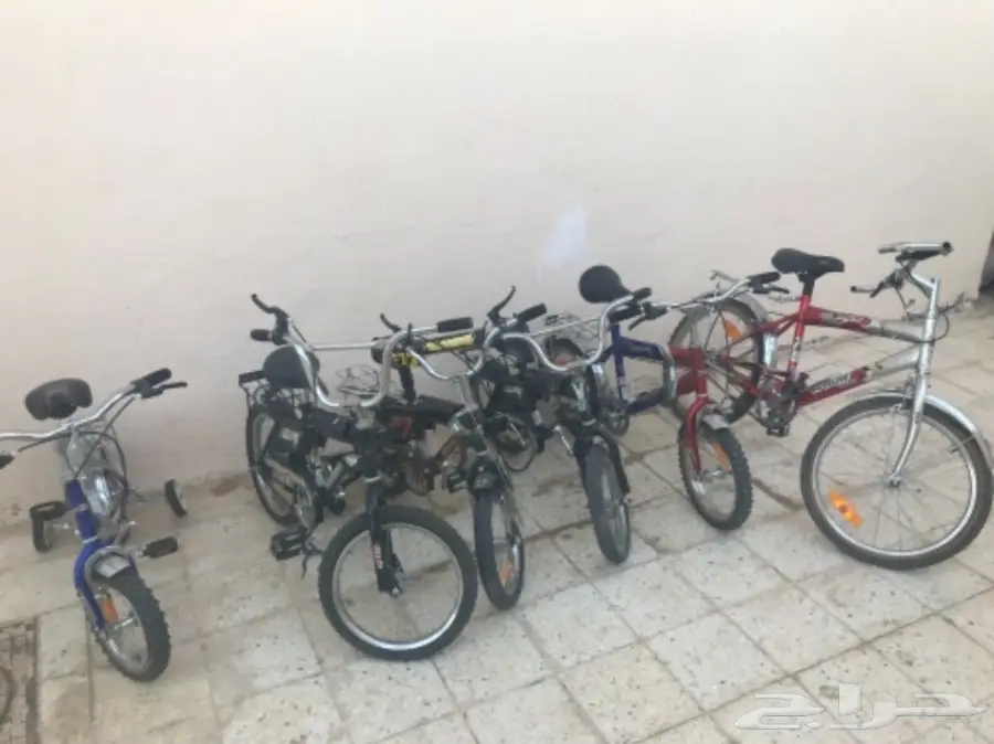 رجيع منزلي (image 1)