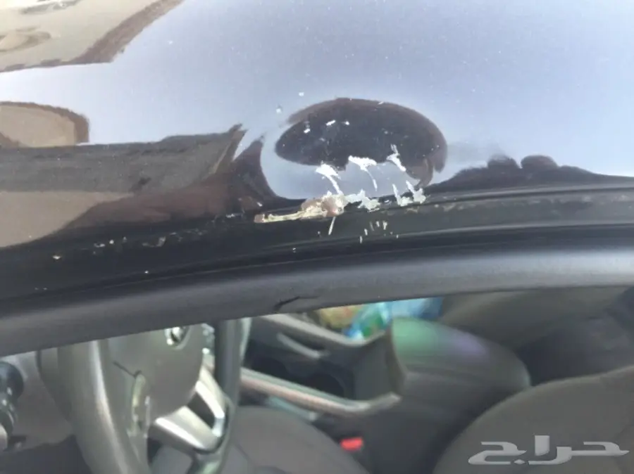 سبورتاج2013 (image 22)