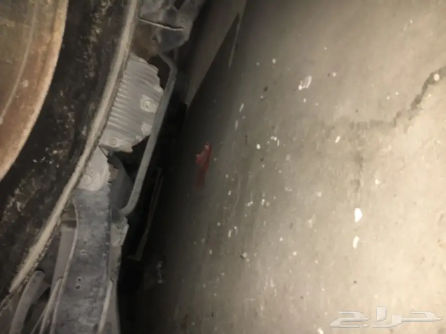 باثفندر 2008  (image 5)