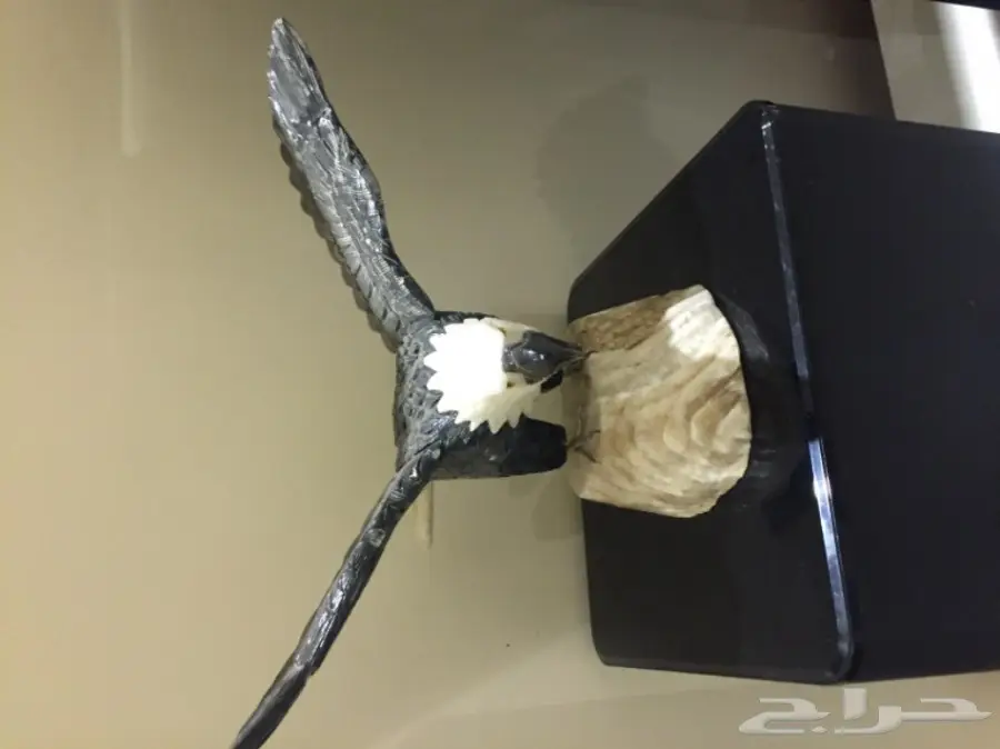 مجسم نسر (image 3)