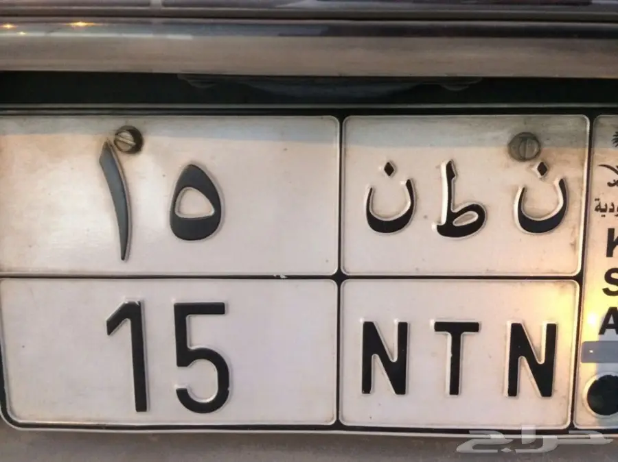 لوحة فنية فريدة للبيع