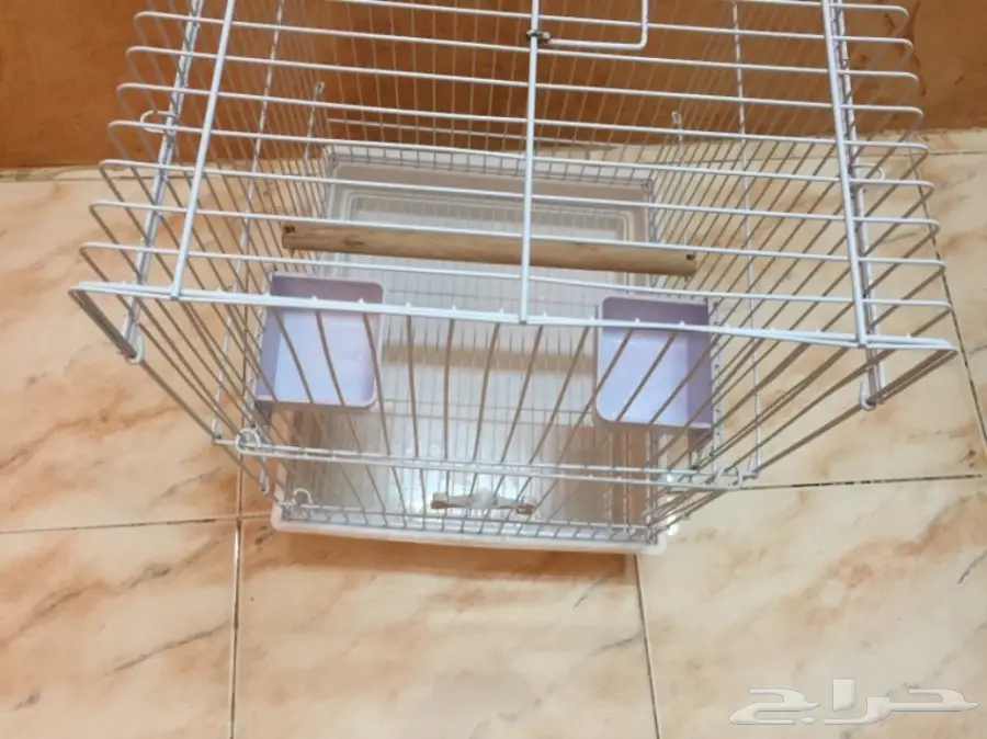 قفص ببغاء (image 3)