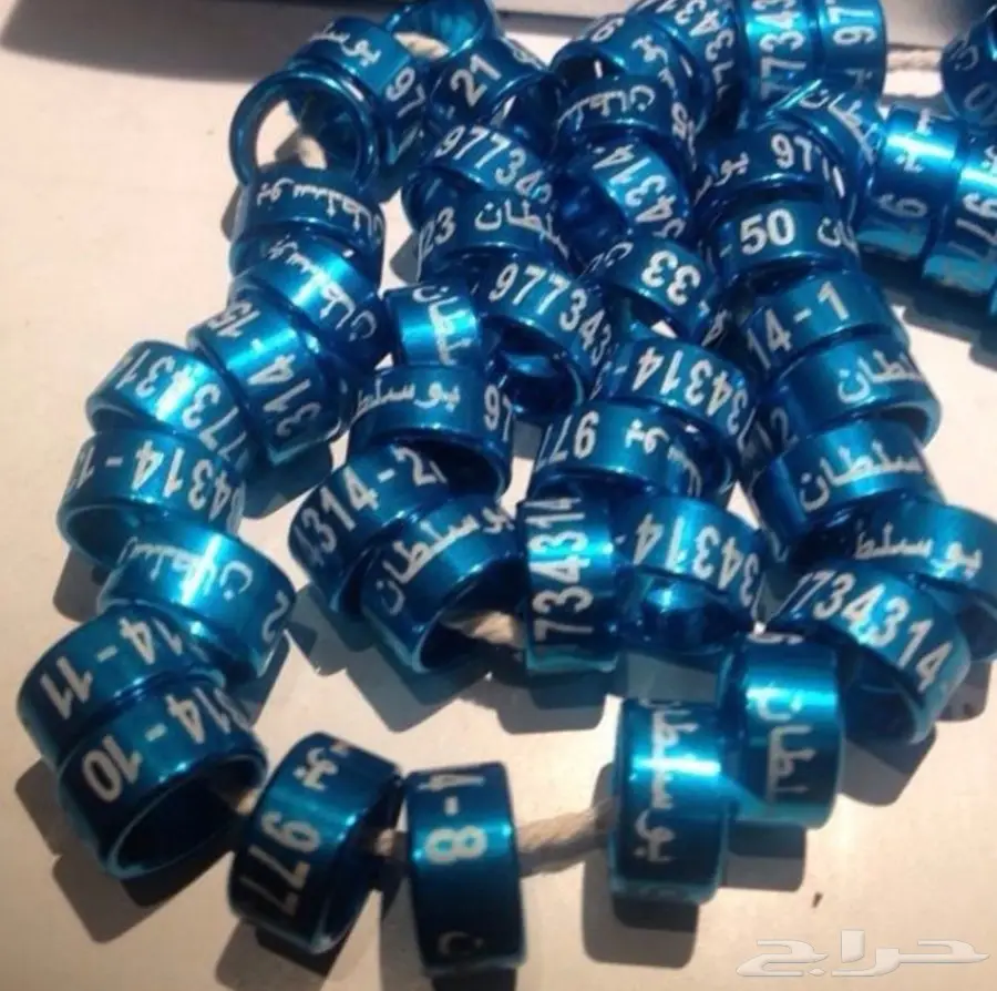 حجول طيور فاخر - لكل الأجناس! (image 8)