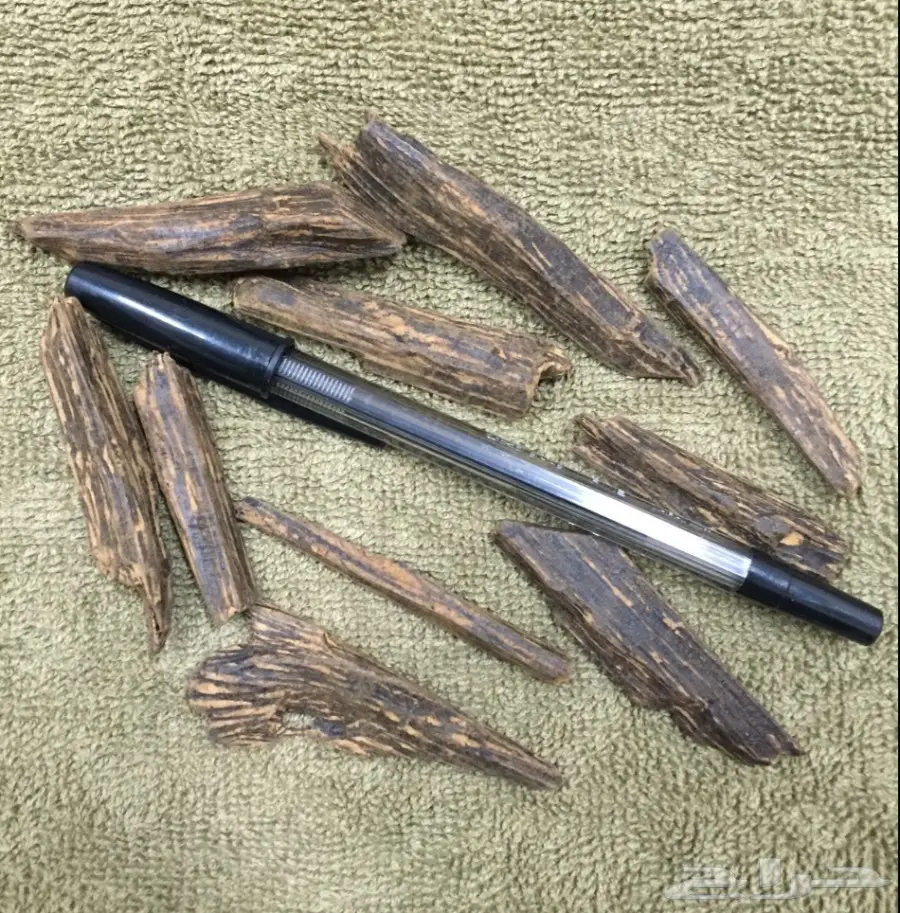 مزاد على اوقيتين عود( ماروكي وكلمنتان محسن ) (image 3)