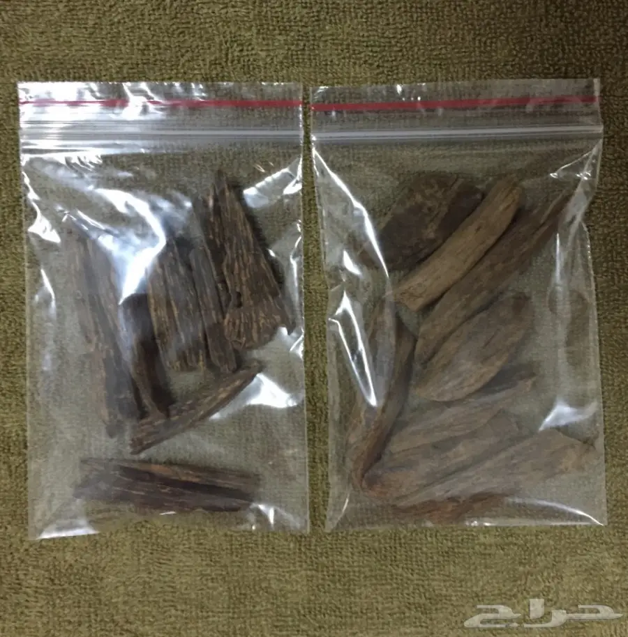 مزاد على اوقيتين عود( ماروكي وكلمنتان محسن ) (image 4)