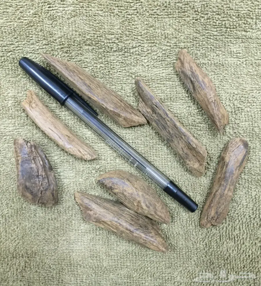 مزاد على اوقيتين عود( ماروكي وكلمنتان محسن ) (image 1)