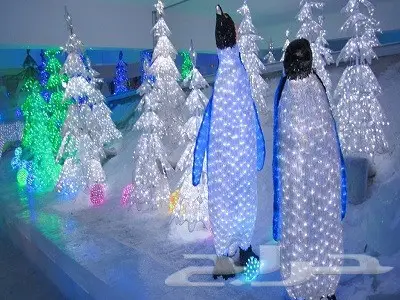 السياحه فى ماليزيا بكدج شهر عيل 15 يوم 4 نجوم (image 29)