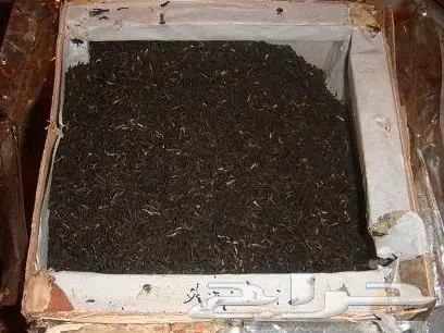 999شاهي ثلاث تسعات الأزرق و الأحمر  من الكويت (image 1)