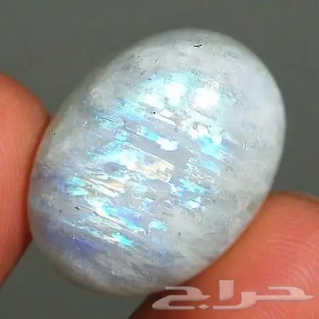 حجر القمر المموج الطبيعي الموثق بكرت التعريف