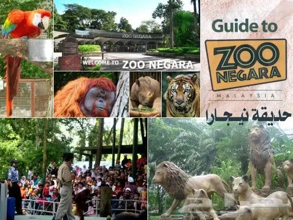 السياحه فى ماليزيا بكدج شهر عيل 15 يوم 4 نجوم (image 35)