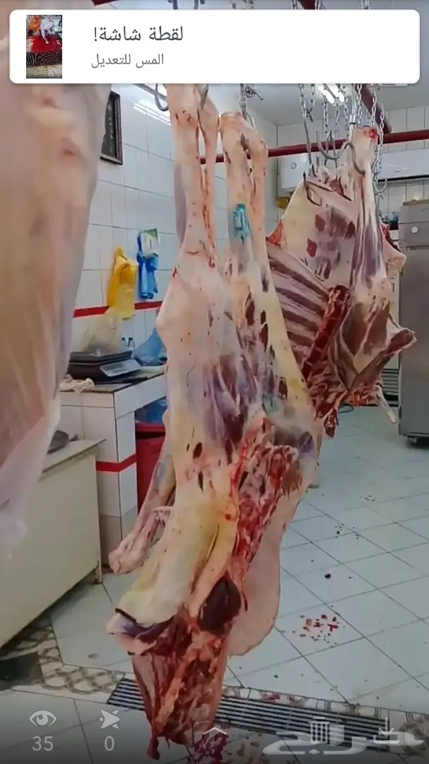 حاشي بري لباني. ومفرود