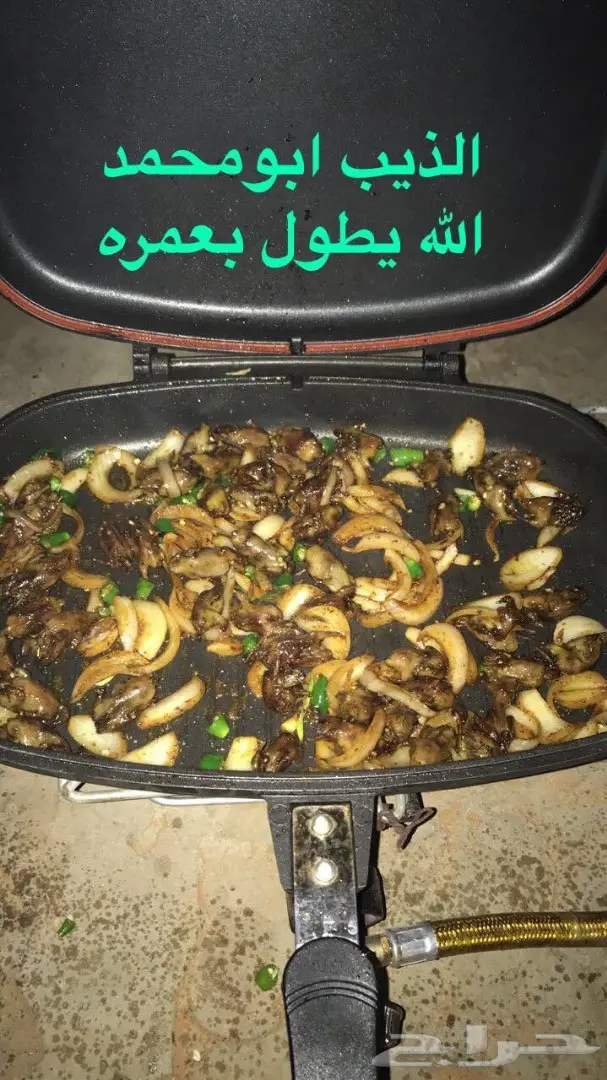 صيد دخل على كيفك  (image 1)
