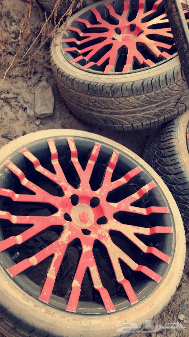 الرياض الرمال