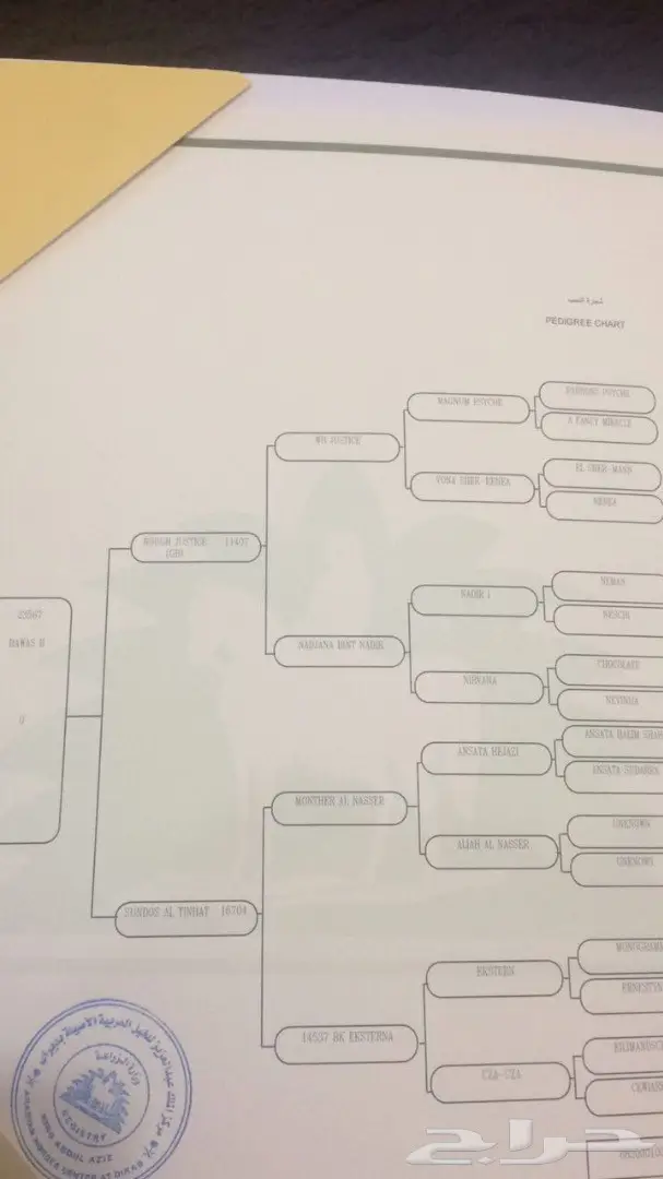 مهر للبيع  (image 1)