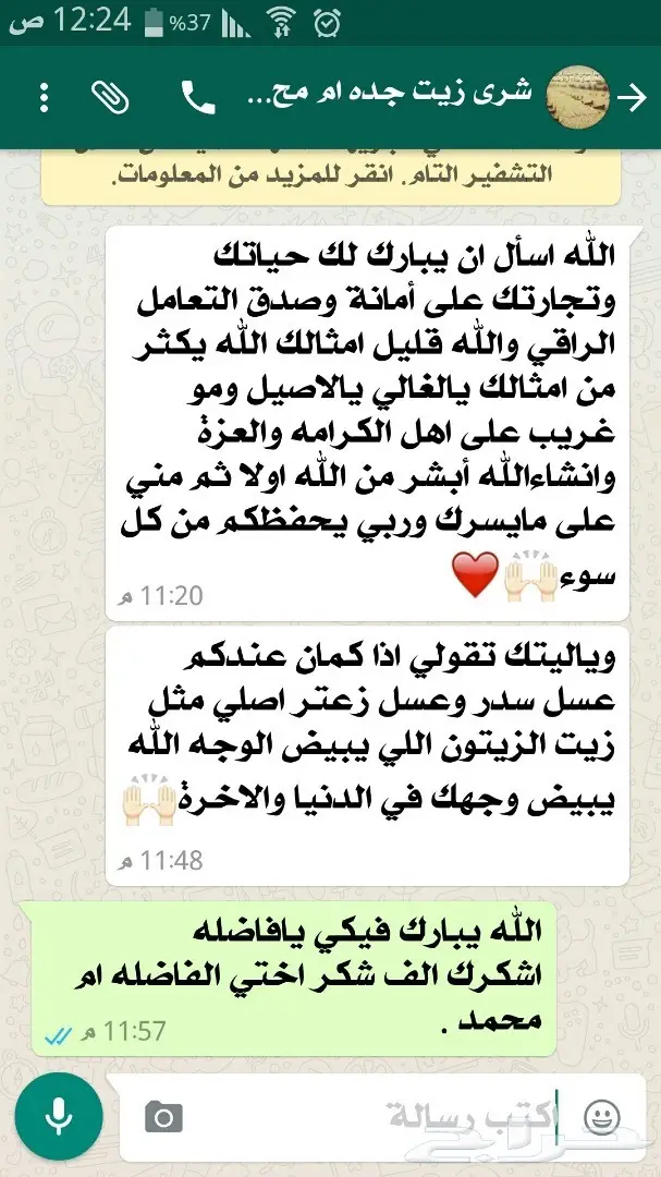 زيت زيتون فلسطيني عصرة أولى بكر ممتاز جديد (image 72)