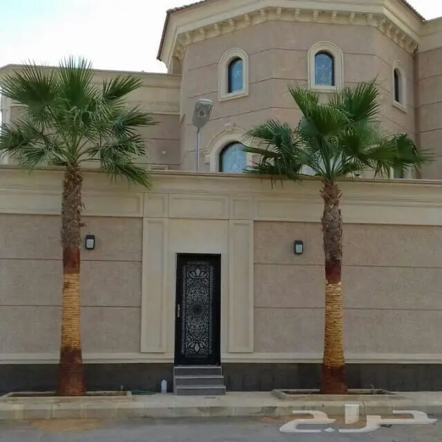 ابوزيدالتوريدجميع انواع النخيل (image 14)