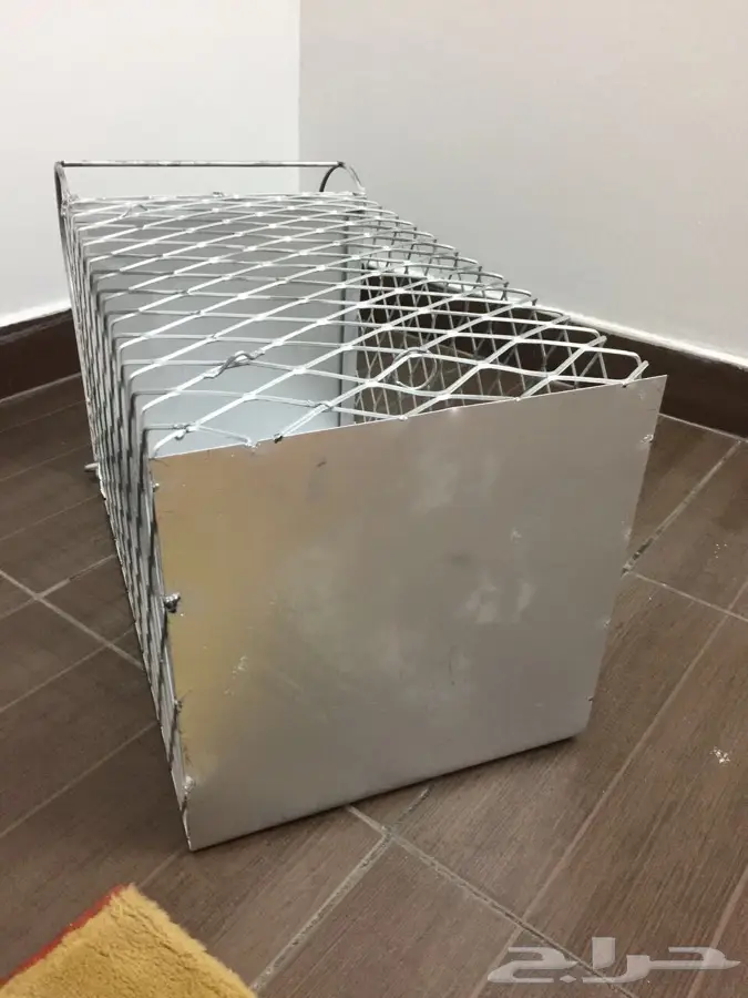 صيادة قطط  (image 1)