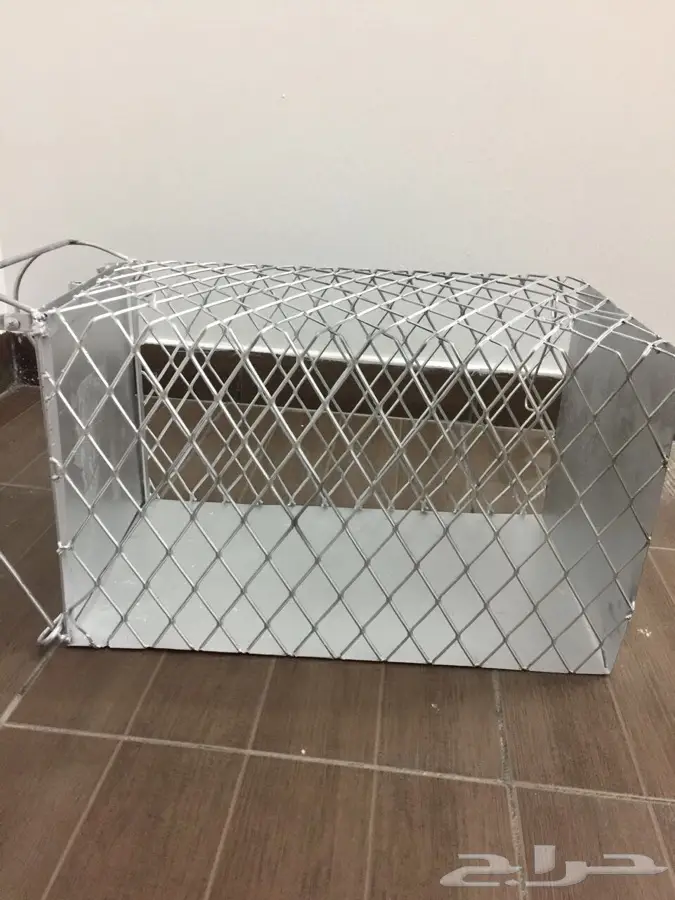 صيادة قطط (image 2)