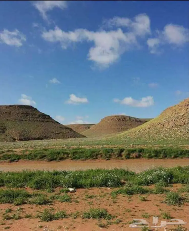 كداد الرياض الدمام 
