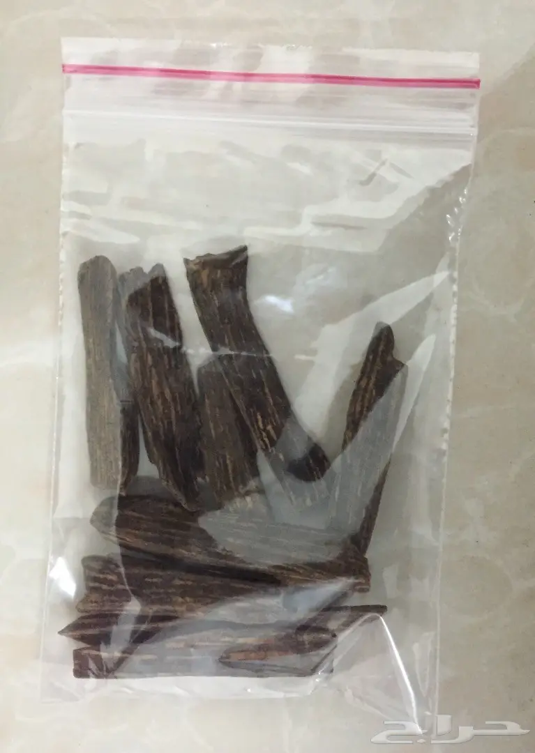 مزاد على اوقيتين عود ( ماروكي وكلمنتان محسن ) (image 5)