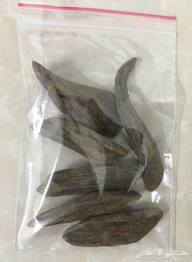 مزاد على اوقيتين عود ( ماروكي وكلمنتان محسن ) (image 2)