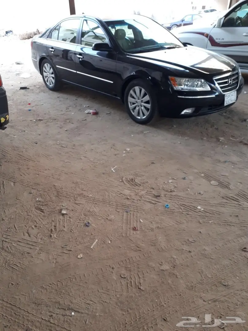 للبيع سوناتا 2009 ليميتد نظيفة جدا (image 6)