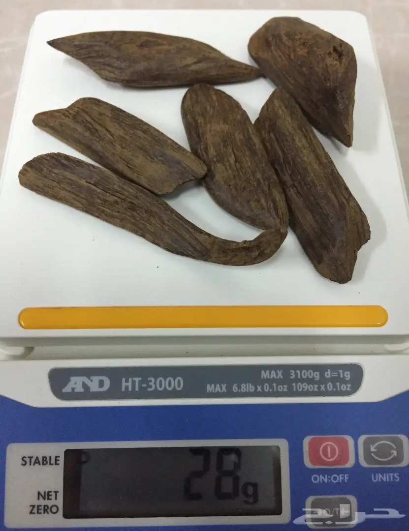 مزاد على اوقيتين عود ( ماروكي وكلمنتان محسن )