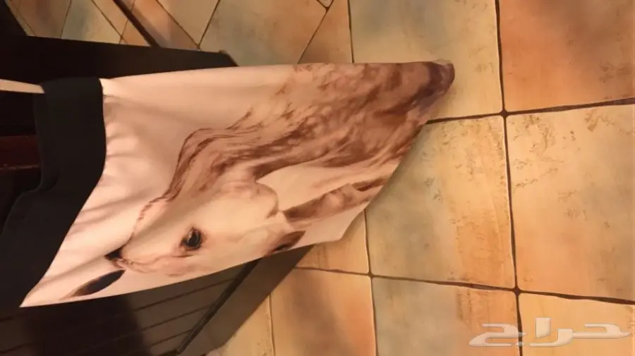 تمييز بالجميل  (image 5)