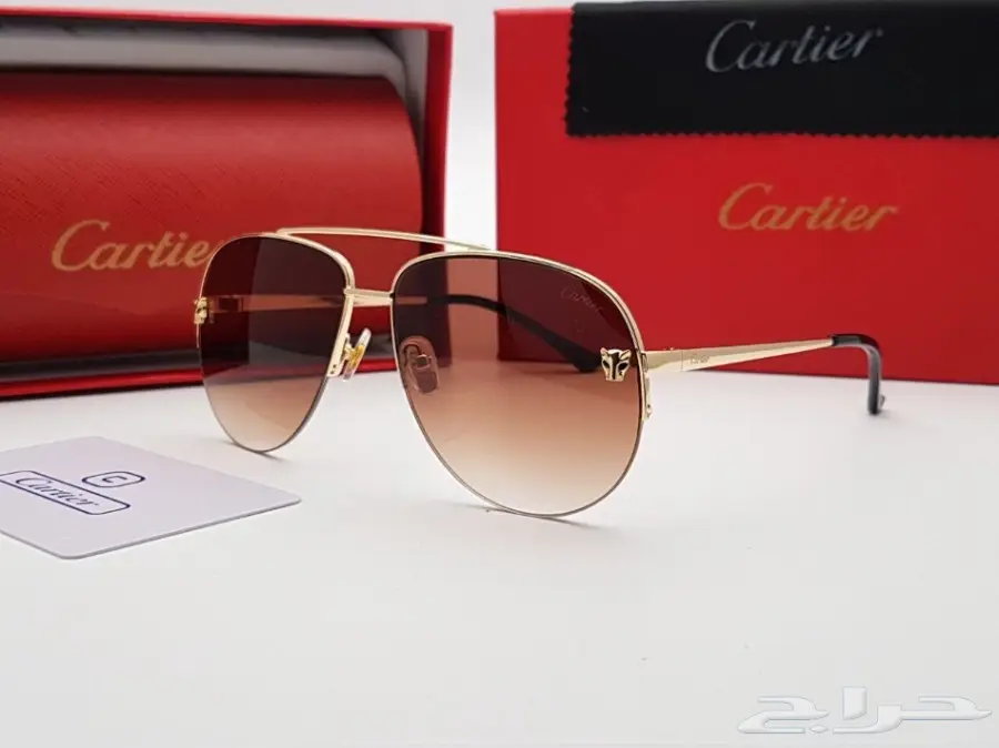 نظارات شتوية وبراويز طبية رجالي ونسائي (image 291)