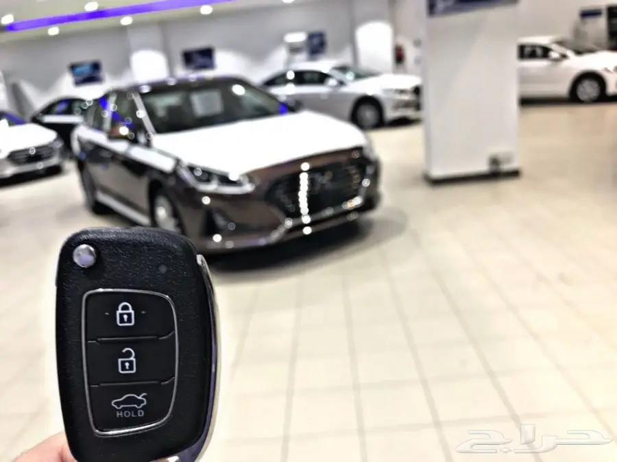 سوناتا 2018 الوعلان نص فل بانوراما مخمل (image 13)