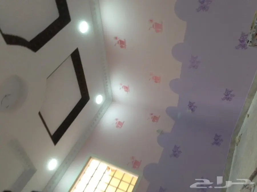 معلم دهان وديكورات ومجالس تراث  (image 4)