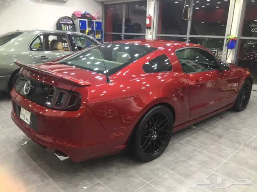 موستنق 2014 للبيع (image 3)