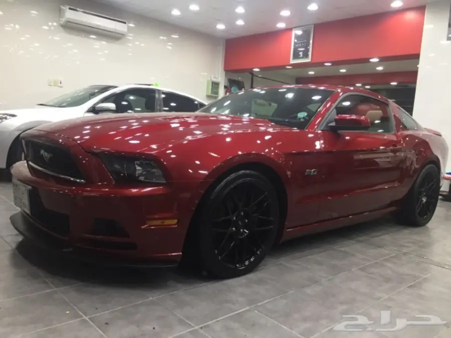 موستنق 2014 للبيع (image 4)