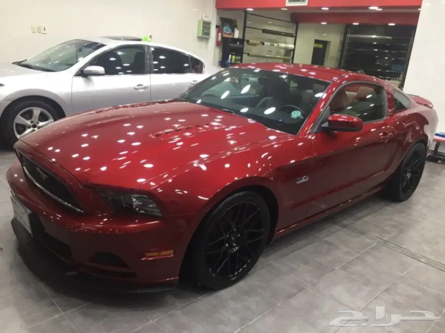 موستنق 2014 للبيع (image 5)